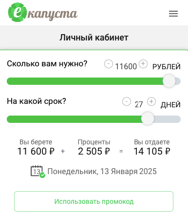 Предодобренный лимит на займ