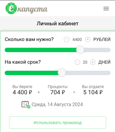 Посмотреть доступный лимит займа